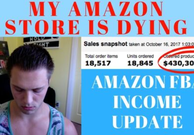 HOW MUCH DO I MAKE FROM AMAZON SELLING? My Amazon FBA Store Update