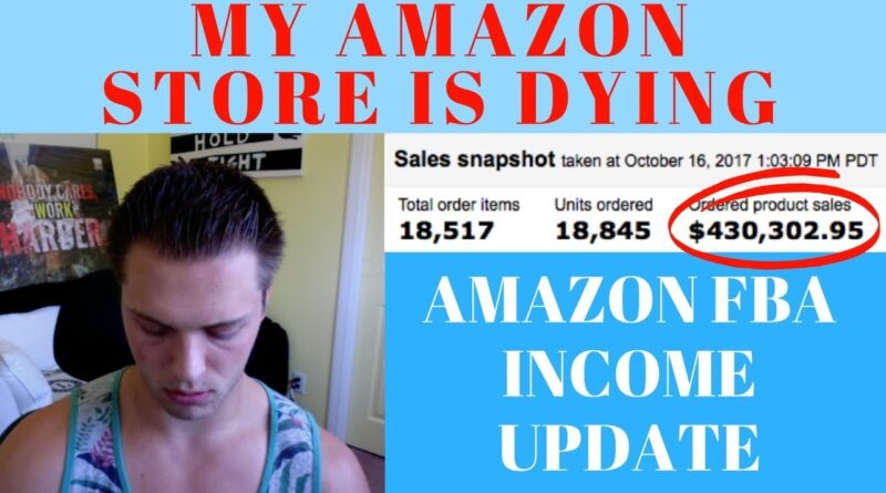 HOW MUCH DO I MAKE FROM AMAZON SELLING? My Amazon FBA Store Update