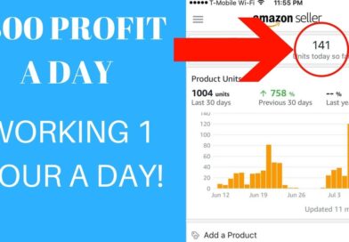 $300 PROFIT A Day Working Only 1 HOUR A Day (Student Success)
