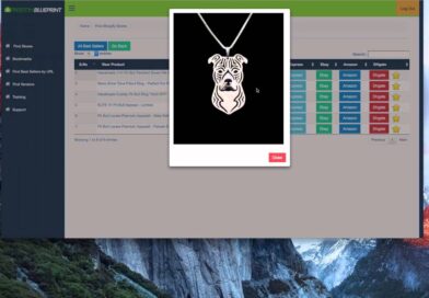 Meraki got 34 Shopify sales without buying traffic