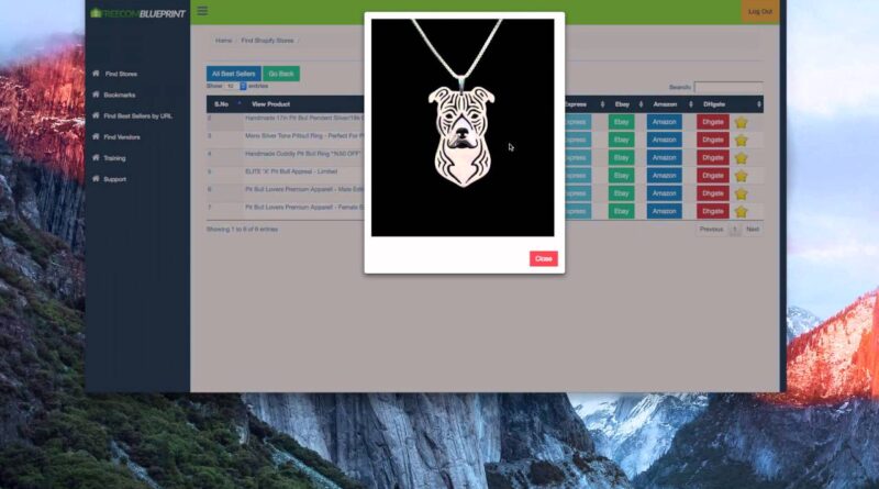 Meraki got 34 Shopify sales without buying traffic